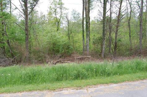 67 51st Avenue Gruetli Laager TN 37339