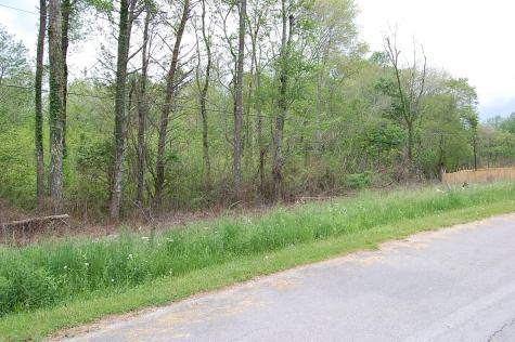 67 51st Avenue Gruetli Laager TN 37339