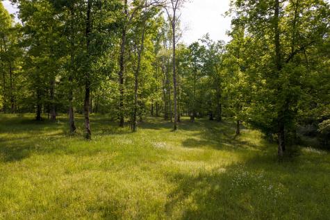 6415 Pinewood Road Nunnelly TN 37137