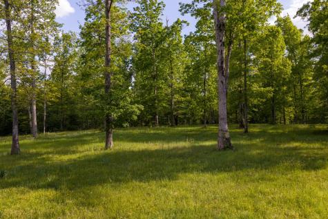 6415 Pinewood Road Nunnelly TN 37137