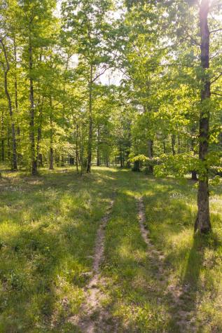 6415 Pinewood Road Nunnelly TN 37137
