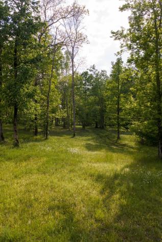 6415 Pinewood Road Nunnelly TN 37137
