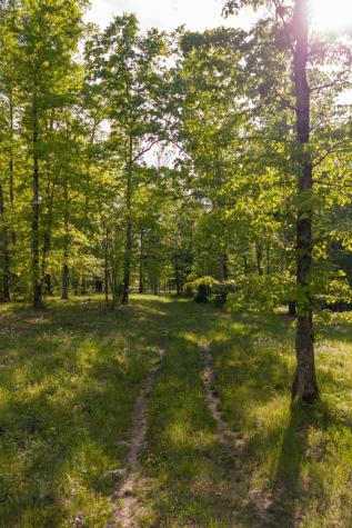 6415 Pinewood Road Nunnelly TN 37137