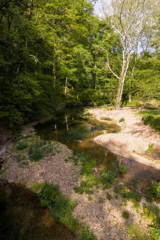 6415 Pinewood Road Nunnelly TN 37137
