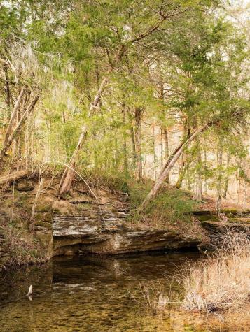 6415 Pinewood Road Nunnelly TN 37137
