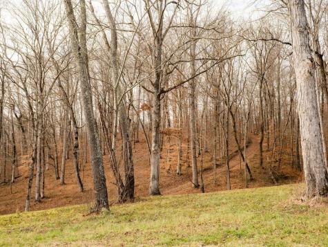 6415 Pinewood Road Nunnelly TN 37137
