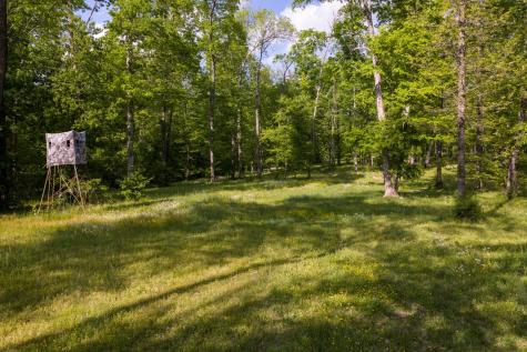 6415 Pinewood Road Nunnelly TN 37137