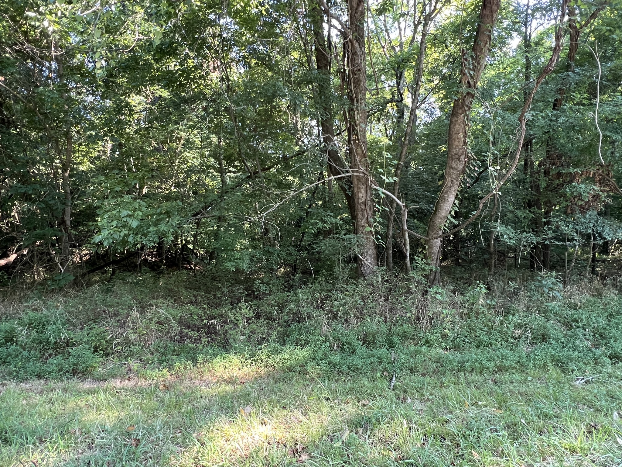 7 Jarrell Ridge Road Clarksville TN 37043