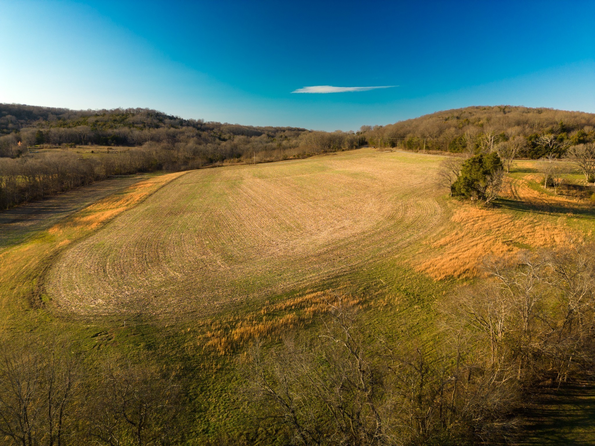 4 Hearn Hill Road Watertown TN 37184