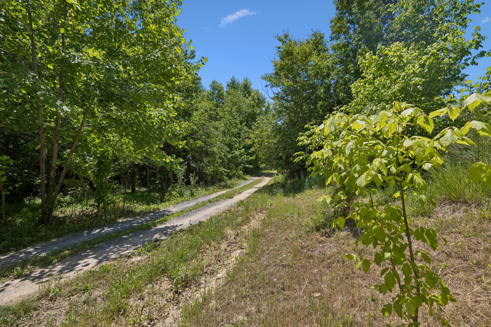 338 County Road 41 Calhoun TN 37309
