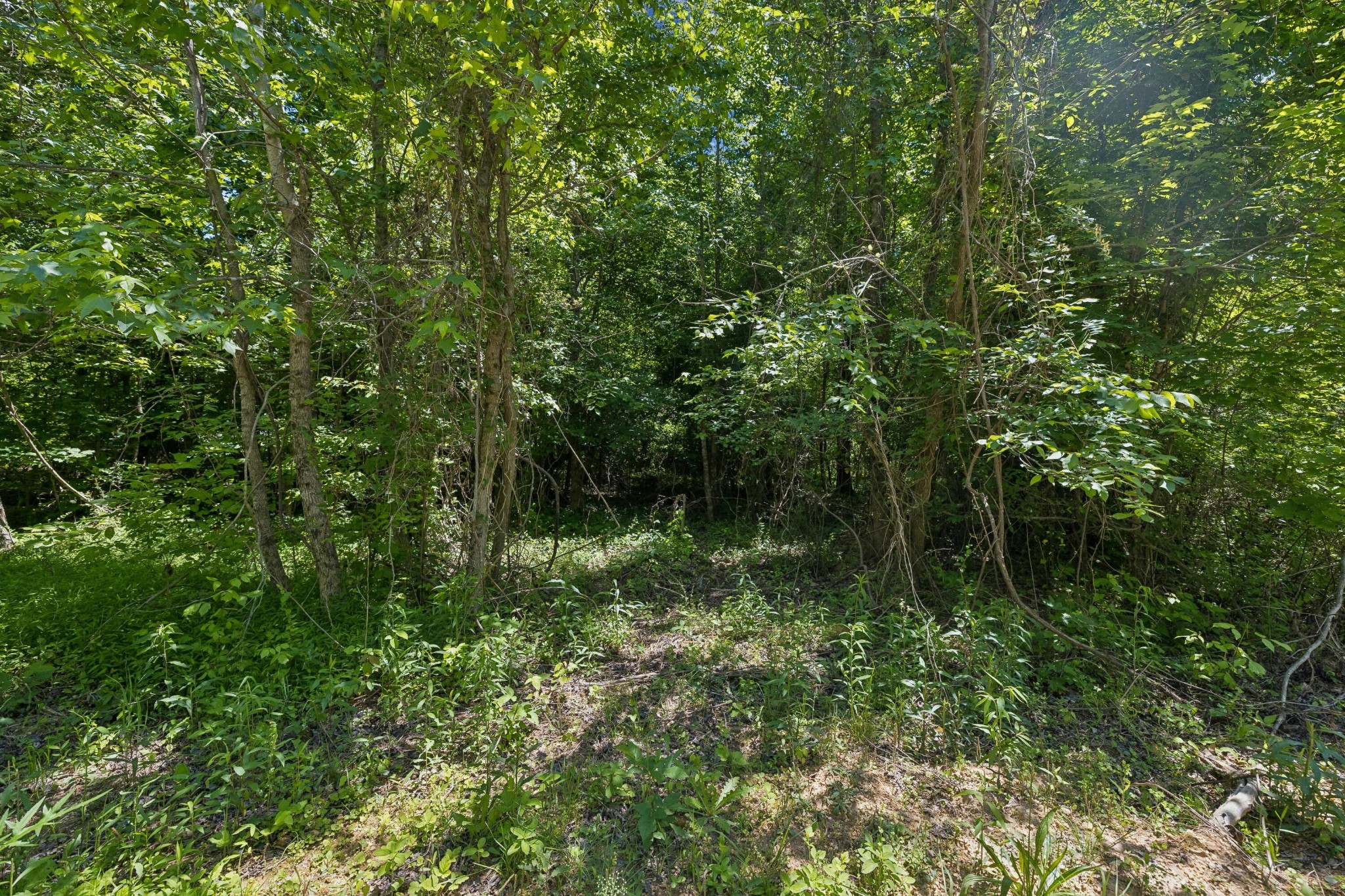 338 County Road 41 Calhoun TN 37309