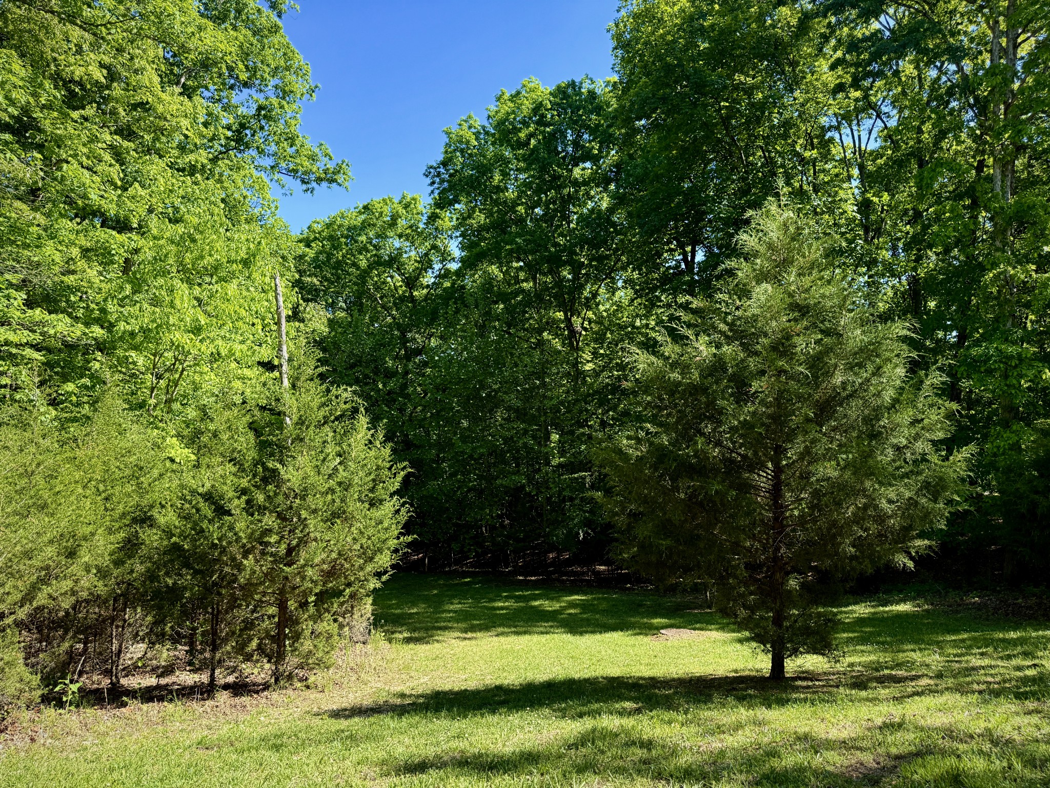 1454 Old Dogwood Trail Loudon TN 37774