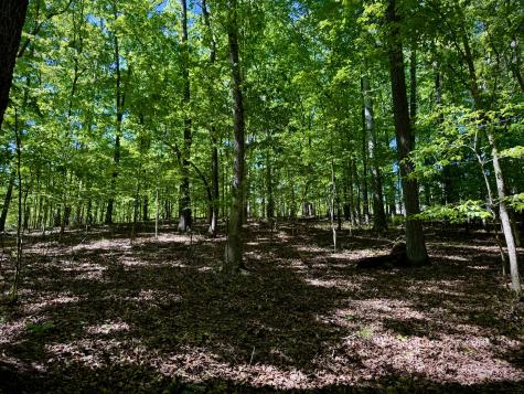 1454 Old Dogwood Trail Loudon TN 37774