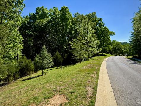 1454 Old Dogwood Trail Loudon TN 37774