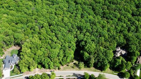 1454 Old Dogwood Trail Loudon TN 37774