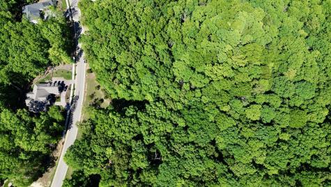 1454 Old Dogwood Trail Loudon TN 37774
