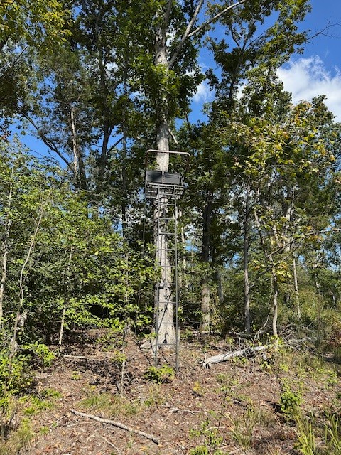 1 Firetower Road Camden TN 38320