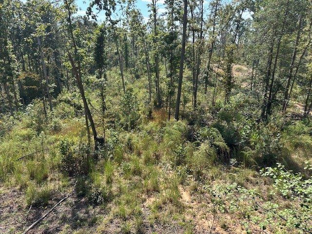 1 Firetower Road Camden TN 38320