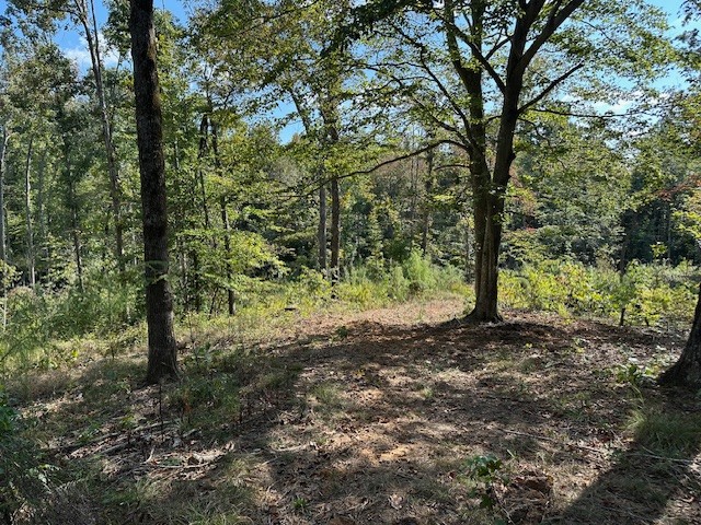 1 Firetower Road Camden TN 38320