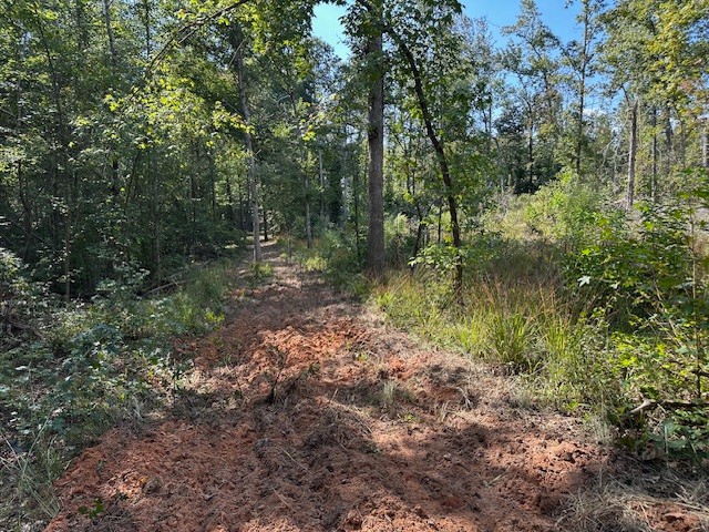 1 Firetower Road Camden TN 38320