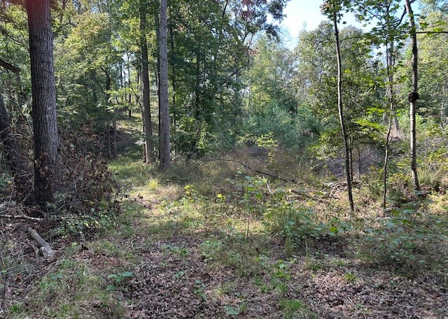 1 Firetower Road Camden TN 38320