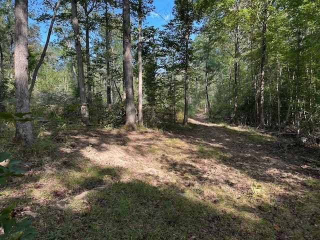 1 Firetower Road Camden TN 38320