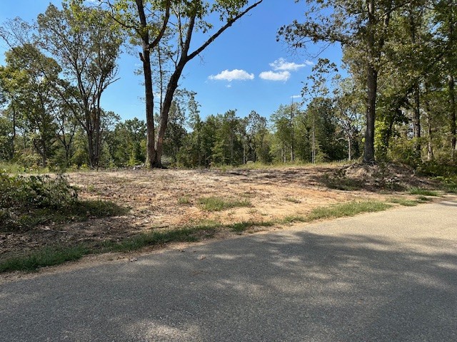 1 Firetower Road Camden TN 38320