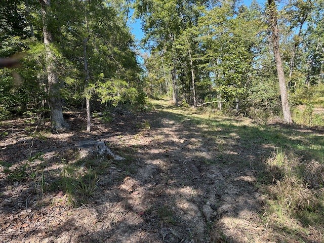 1 Firetower Road Camden TN 38320