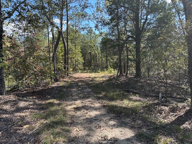 1 Firetower Road Camden TN 38320