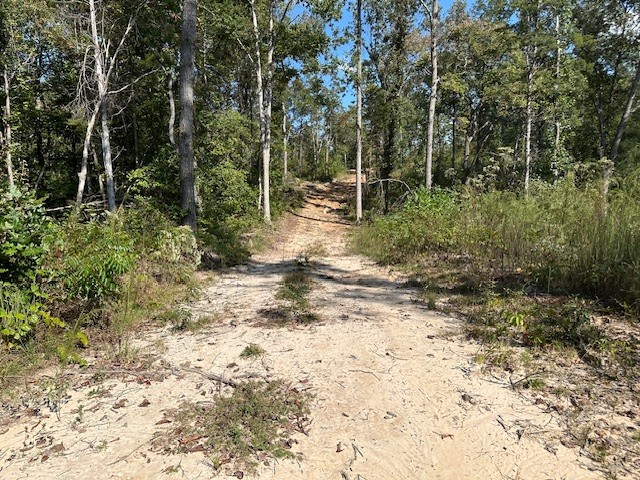 1 Firetower Road Camden TN 38320