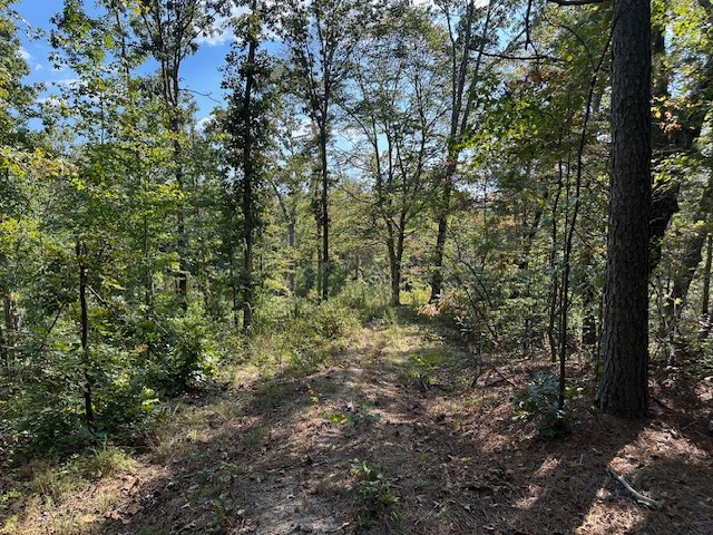 1 Firetower Road Camden TN 38320