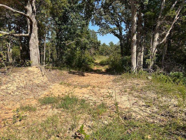 1 Firetower Road Camden TN 38320