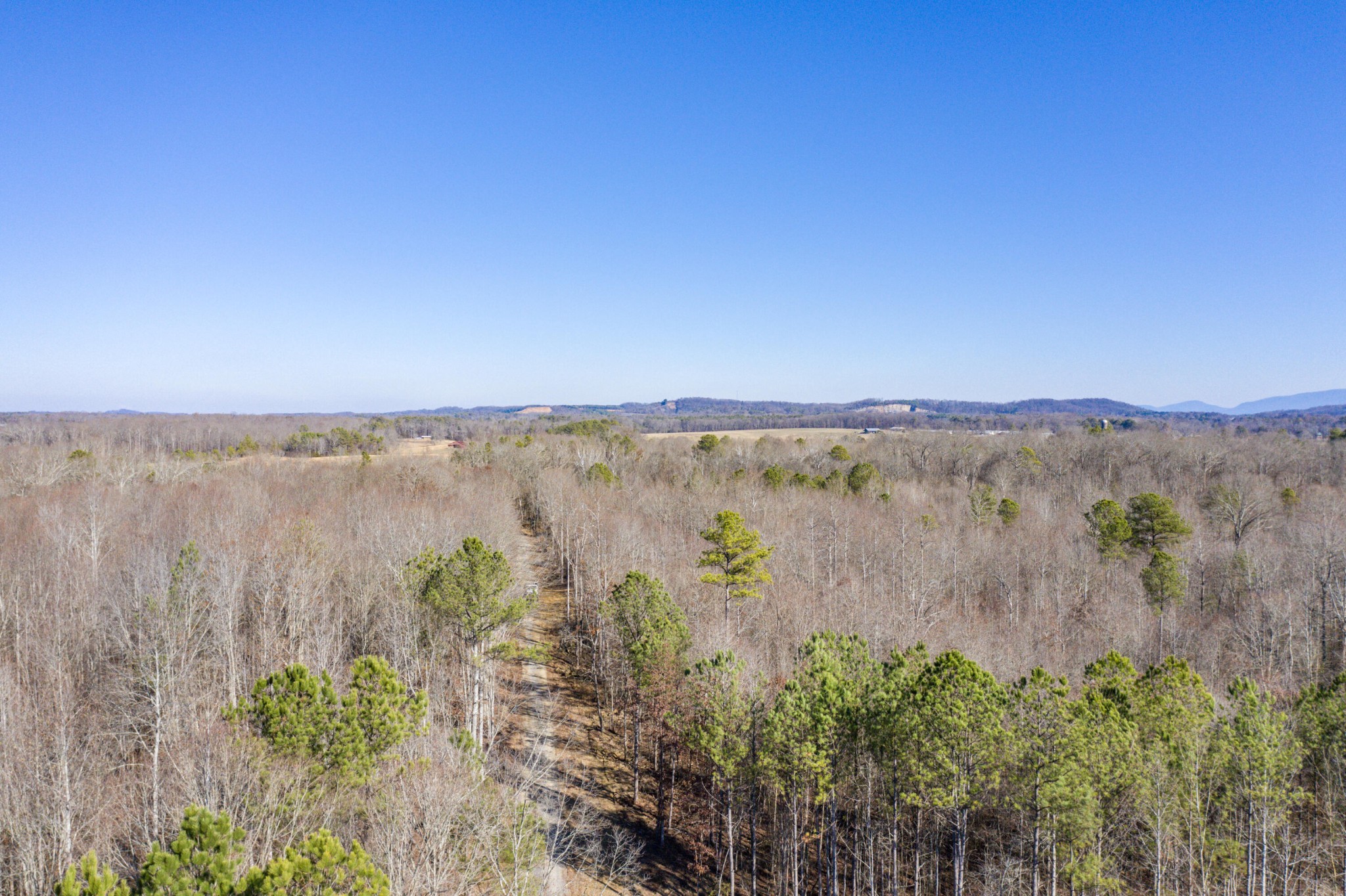 3919 Trewhitt Road, SE Cleveland TN 37323