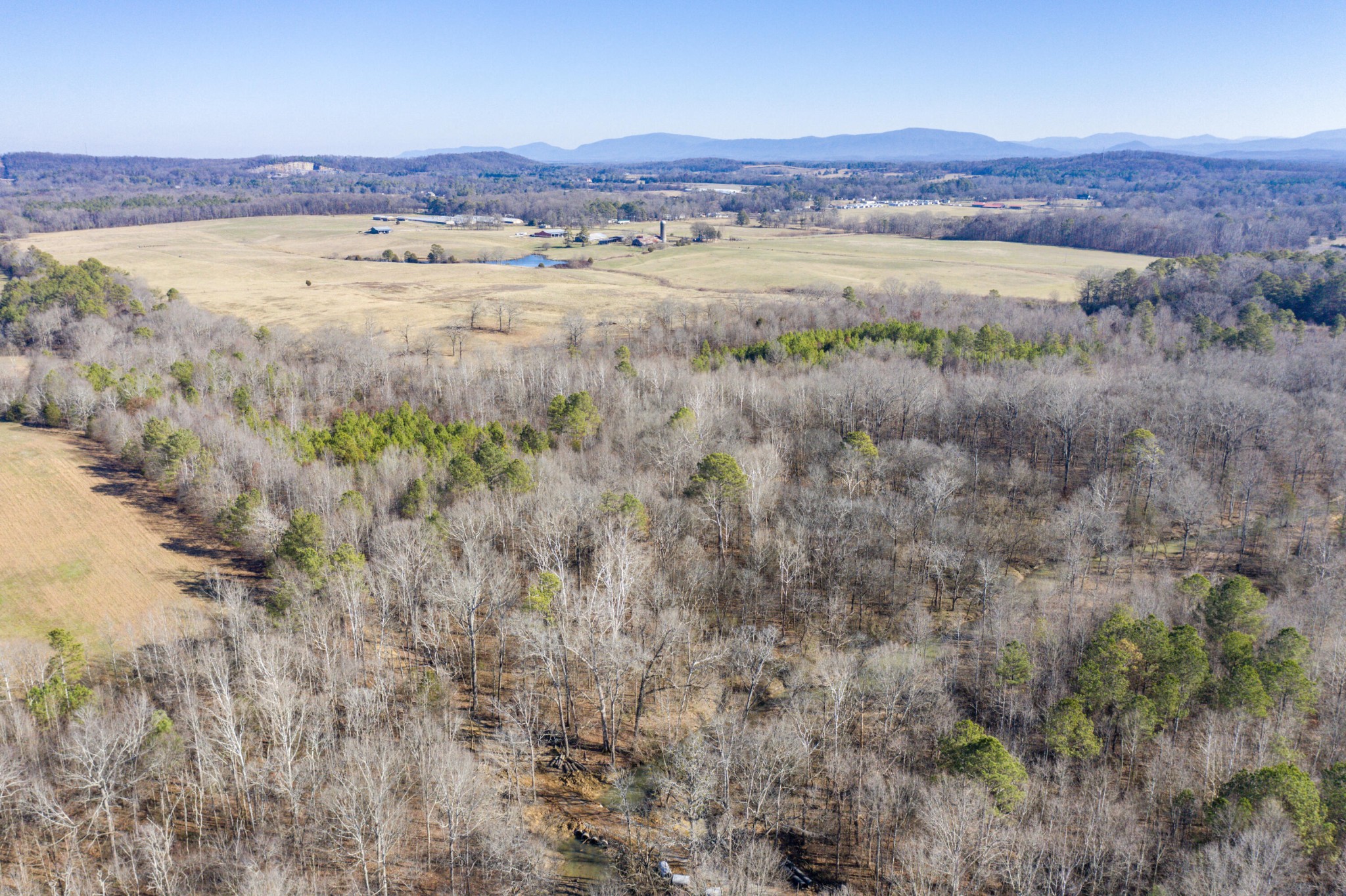 3919 Trewhitt Road, SE Cleveland TN 37323