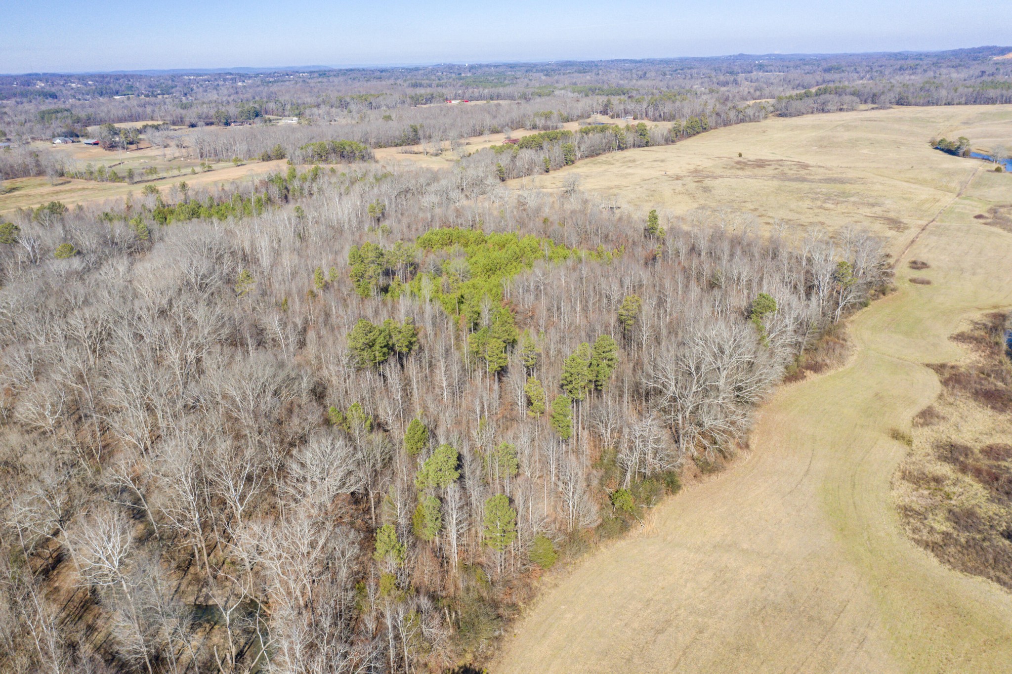 3919 Trewhitt Road, SE Cleveland TN 37323