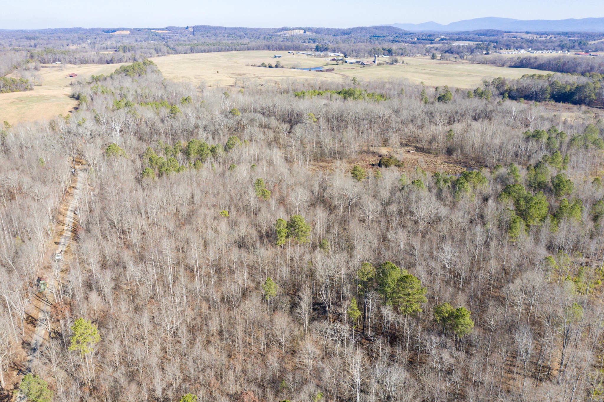 3919 Trewhitt Road, SE Cleveland TN 37323