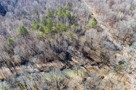 3919 Trewhitt Road, SE Cleveland TN 37323