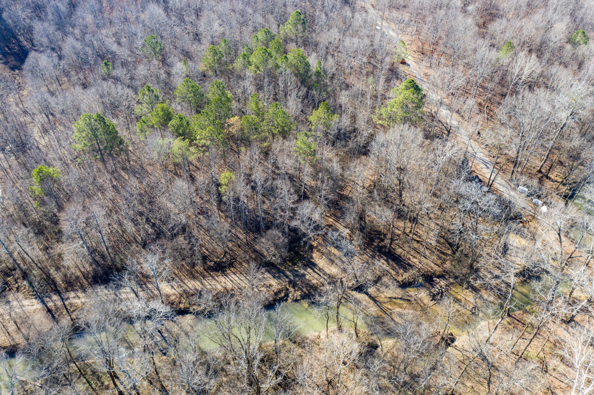 3919 Trewhitt Road, SE Cleveland TN 37323