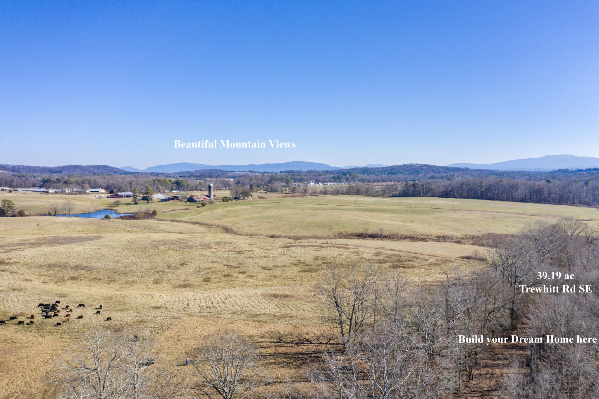 3919 Trewhitt Road, SE Cleveland TN 37323