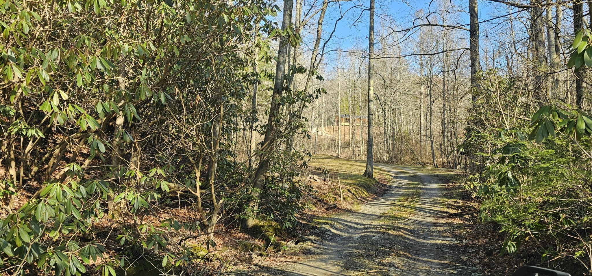 248 Lower Smithfield Road Tellico Plains TN 37385