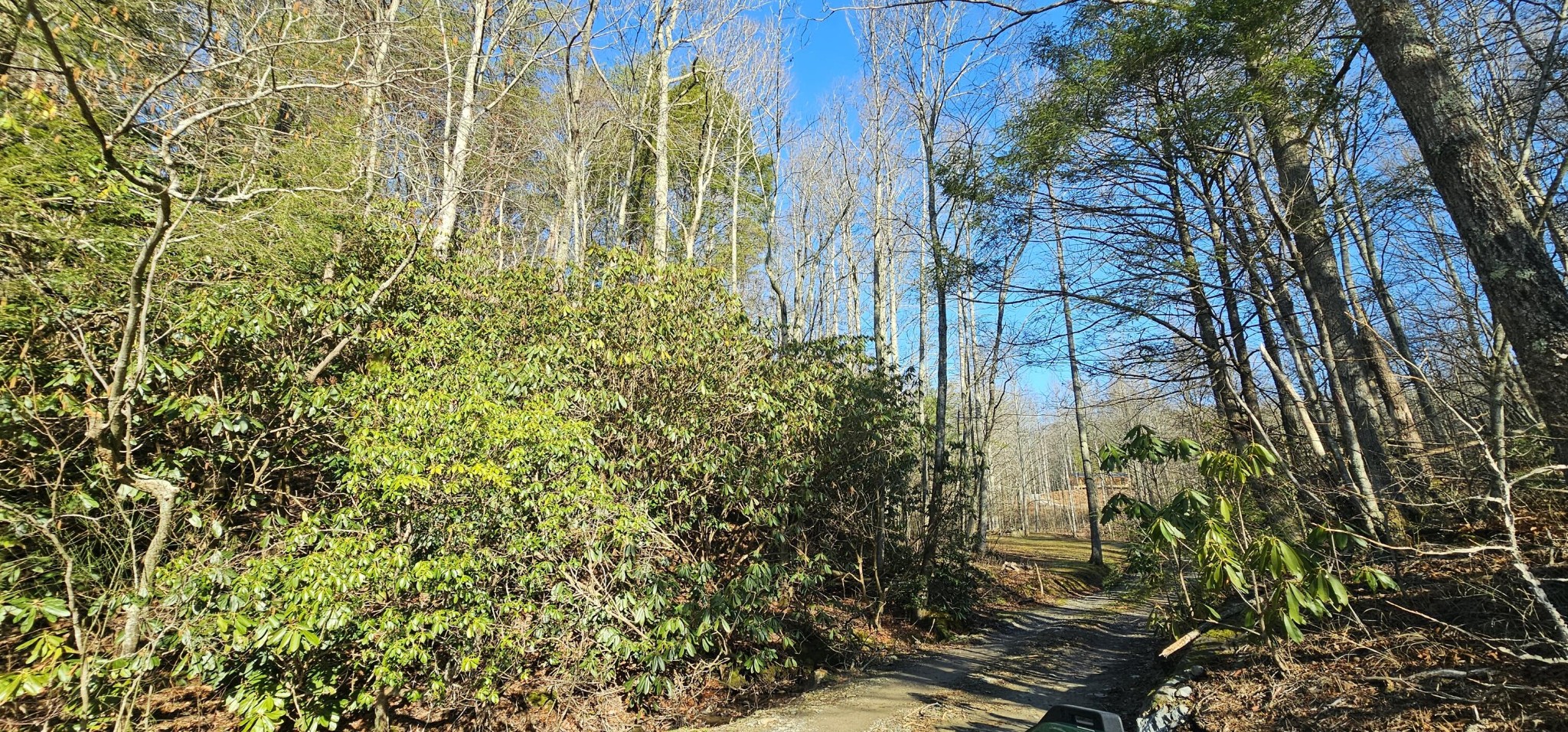 248 Lower Smithfield Road Tellico Plains TN 37385