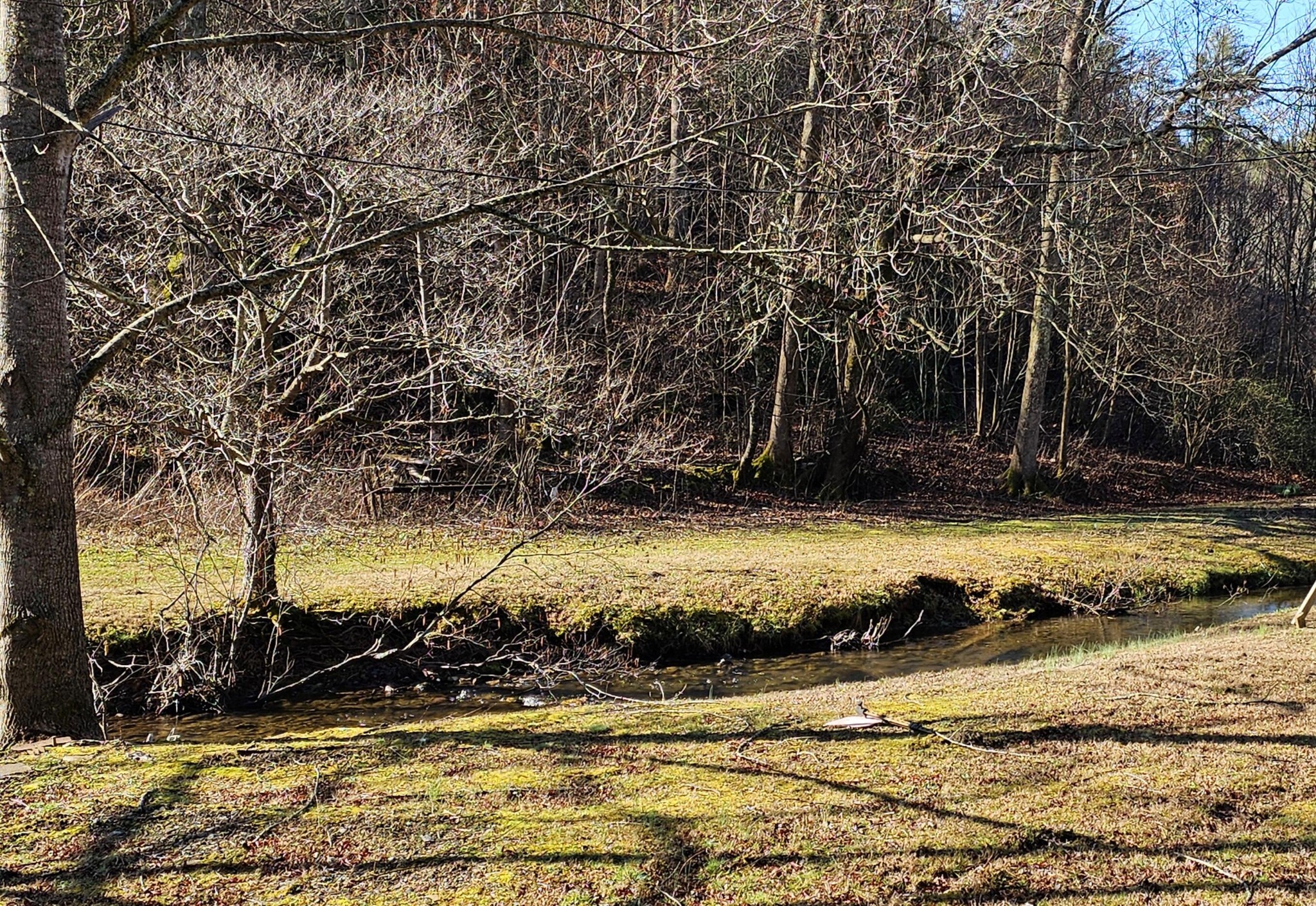 248 Lower Smithfield Road Tellico Plains TN 37385