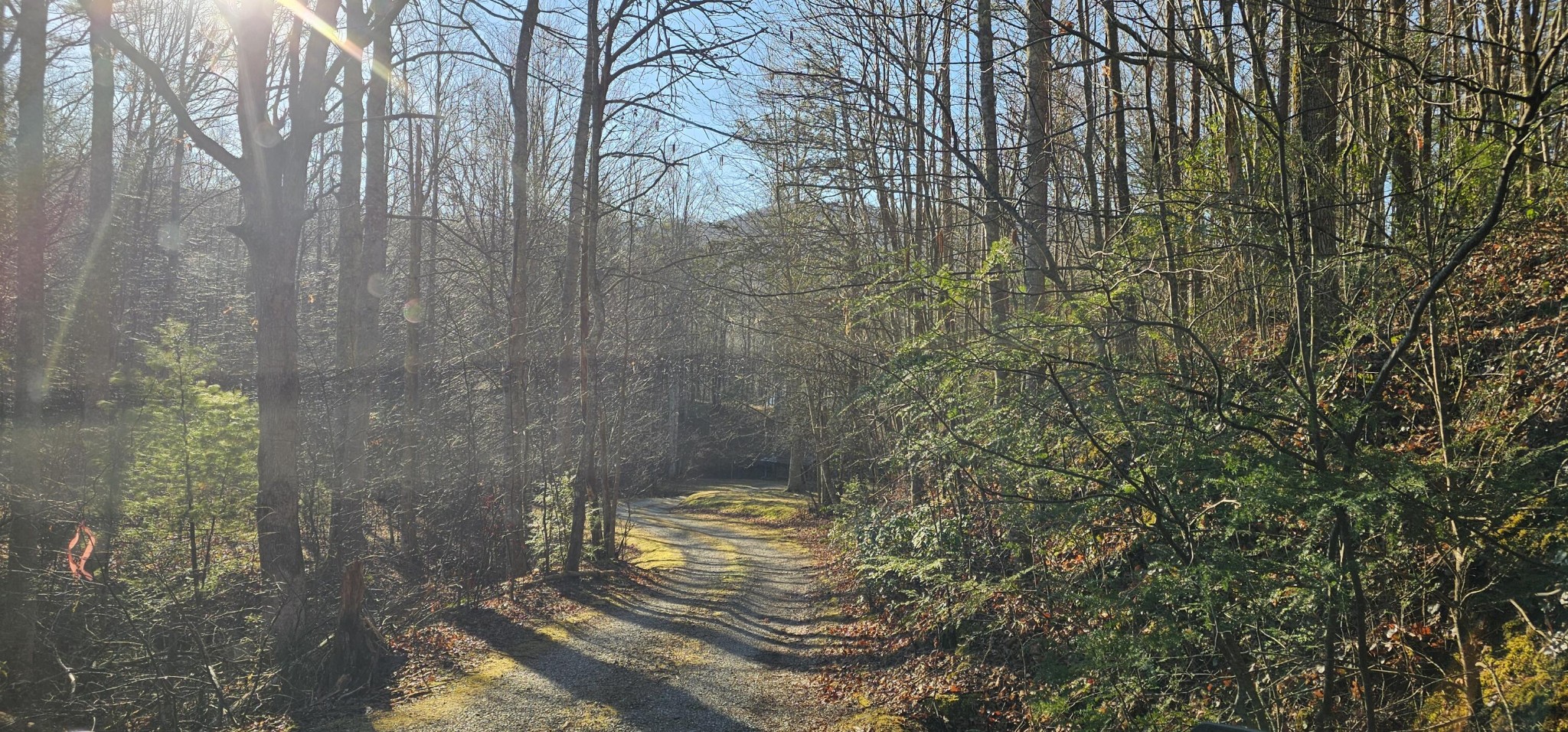 248 Lower Smithfield Road Tellico Plains TN 37385