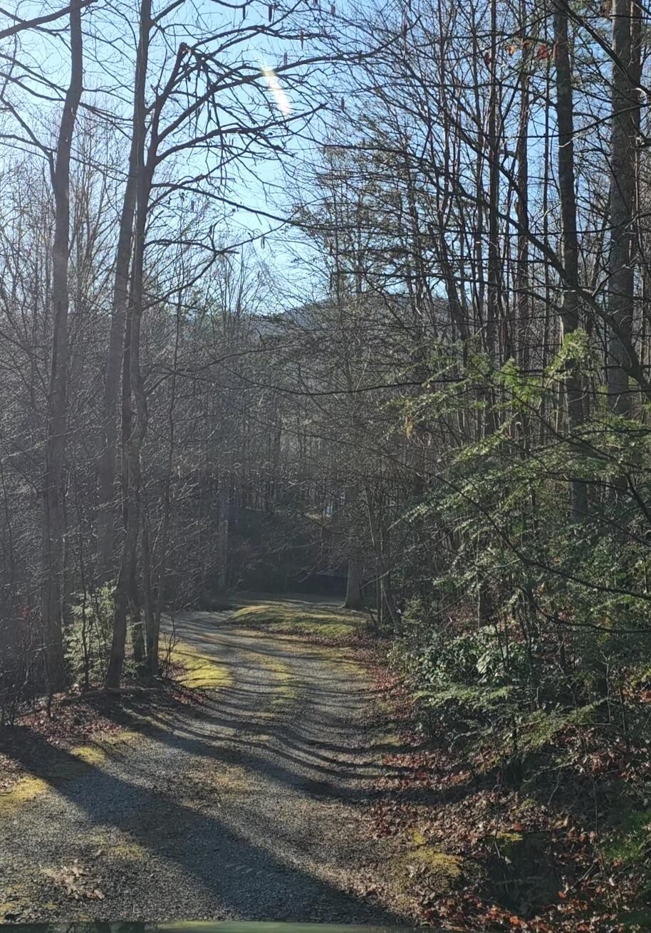 248 Lower Smithfield Road Tellico Plains TN 37385