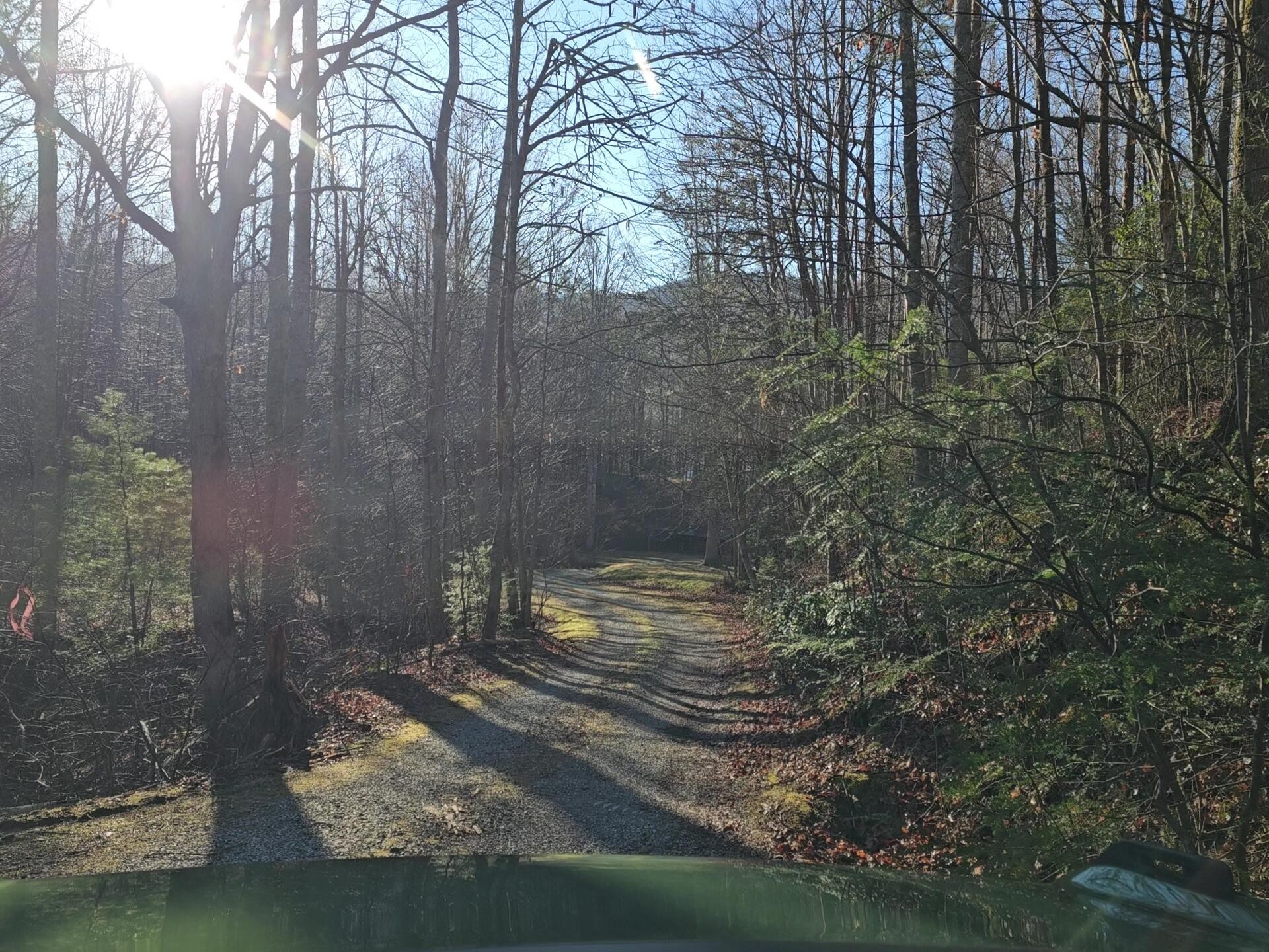 248 Lower Smithfield Road Tellico Plains TN 37385