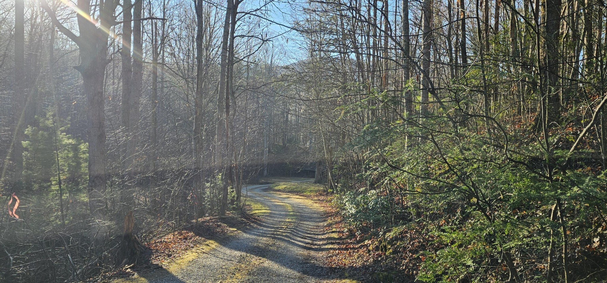 248 Lower Smithfield Road Tellico Plains TN 37385