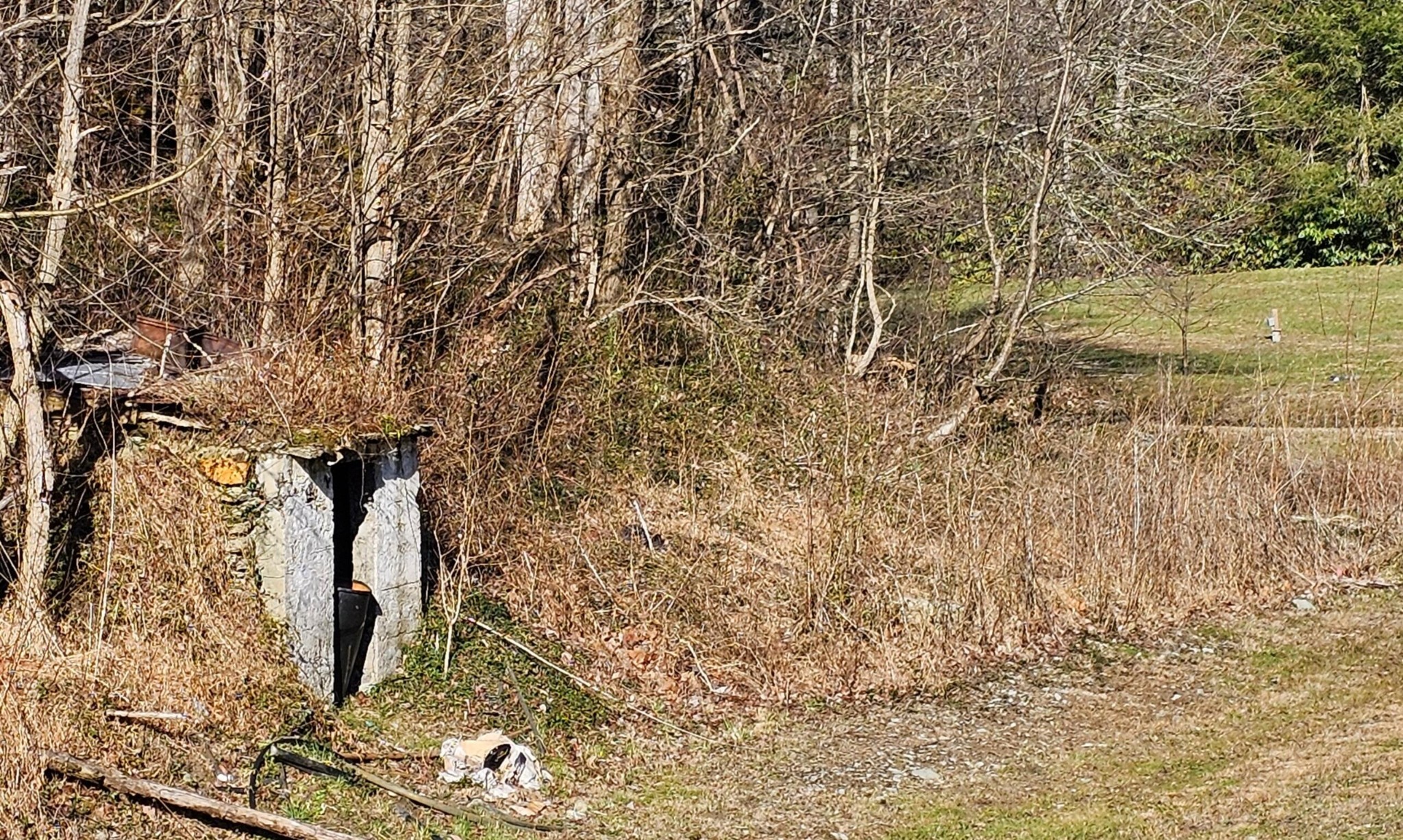 248 Lower Smithfield Road Tellico Plains TN 37385