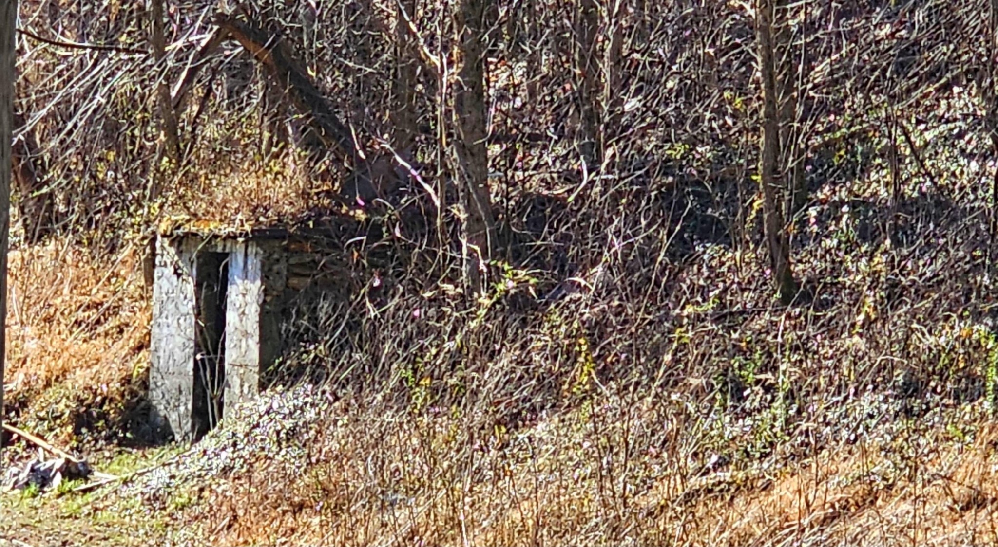 248 Lower Smithfield Road Tellico Plains TN 37385