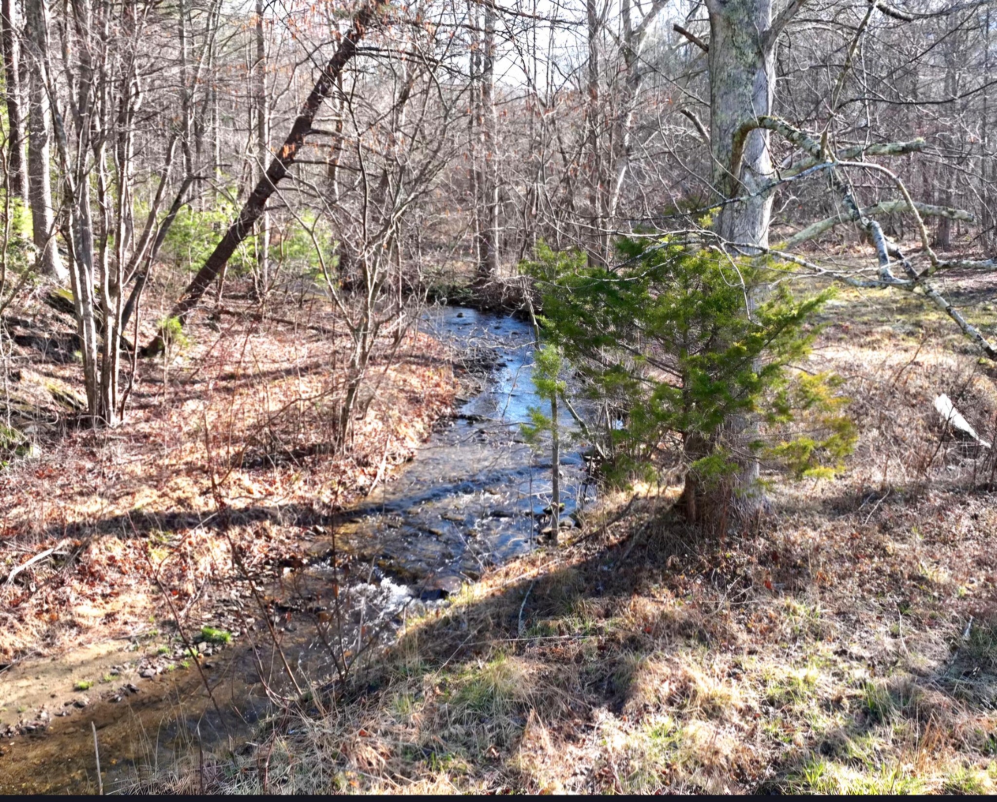 248 Lower Smithfield Road Tellico Plains TN 37385