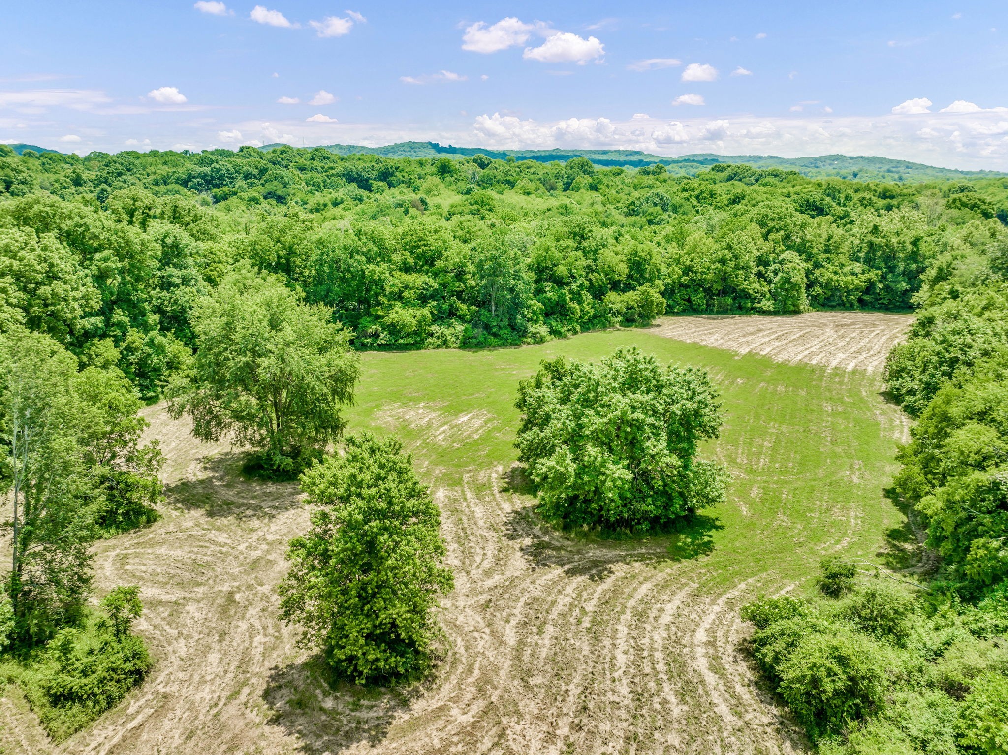 0 Lasata Drive Franklin TN 37067